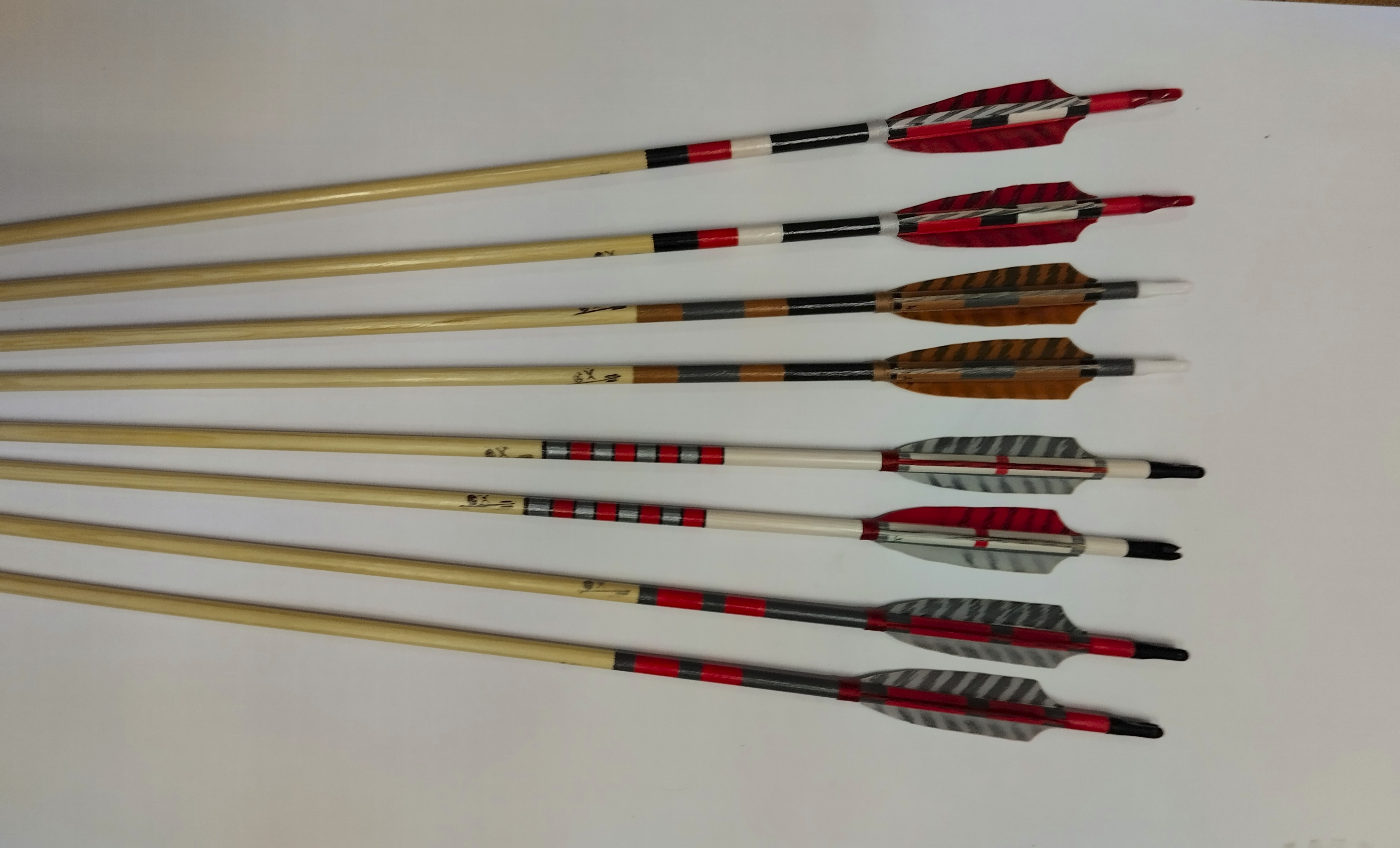 Bújtor 8,8 festett vessző, csíkos tollazással